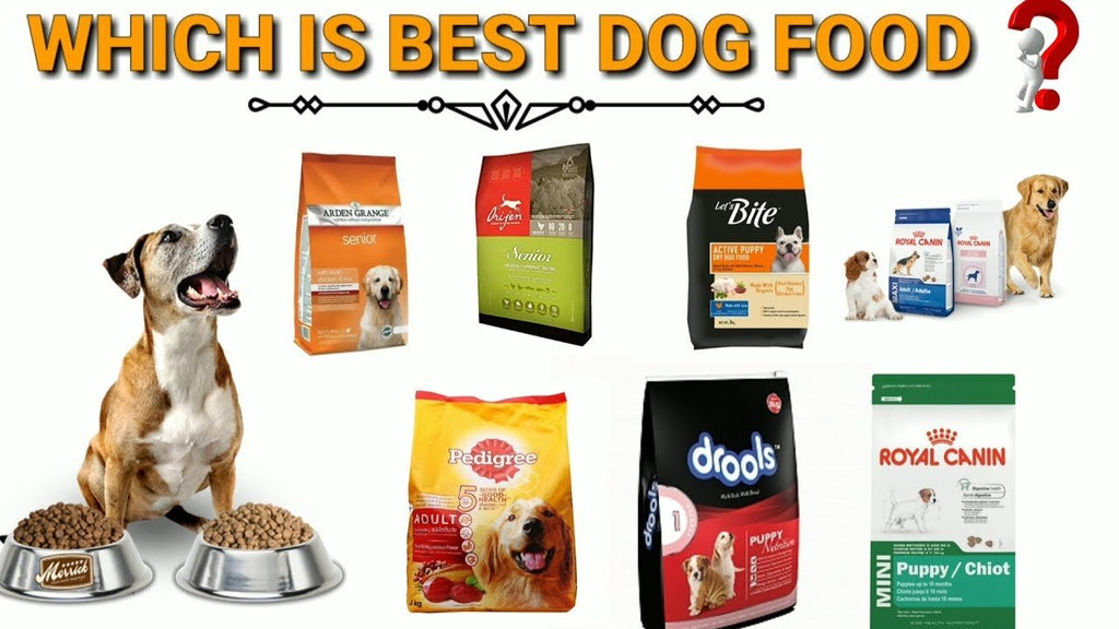 Best Dog Food in Pakistan: A Complete Guide for 2025