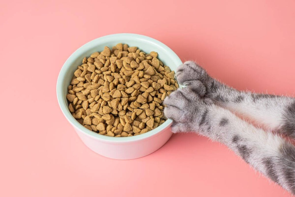 The Ultimate Guide to Cat Food Brands in Pakistan Quality, Prices & Top Picks