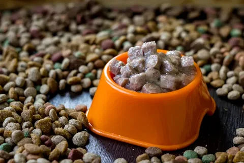 The Difference Between Wet and Dry Pet Food
