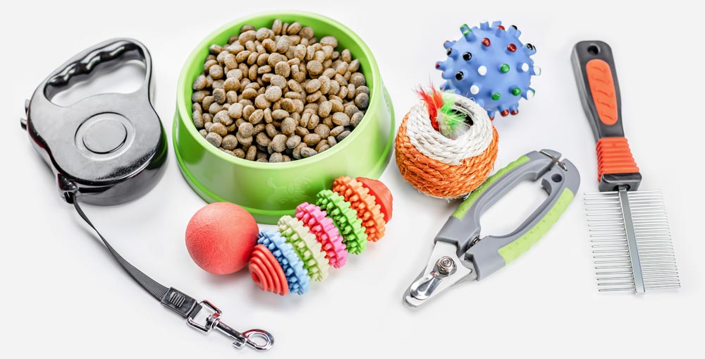 Best Pet Accessories in Pakistan for Dogs and Cats