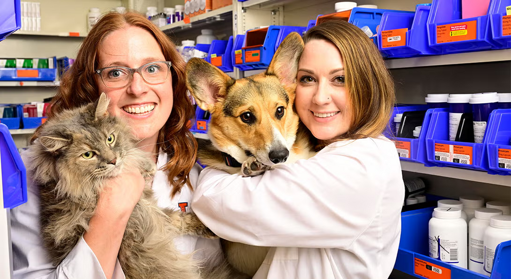Pets Pharmacy in Pakistan Essential Medicines and Supplements for Dogs and Cats