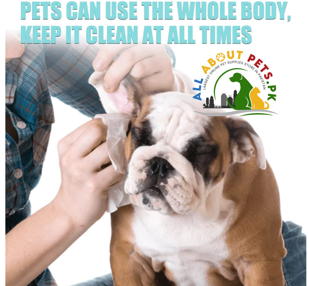 Cat Dog Cleaning Wipes – safe and gentle grooming wipes for cats and dogs in Pakistan for dirt and odor removal