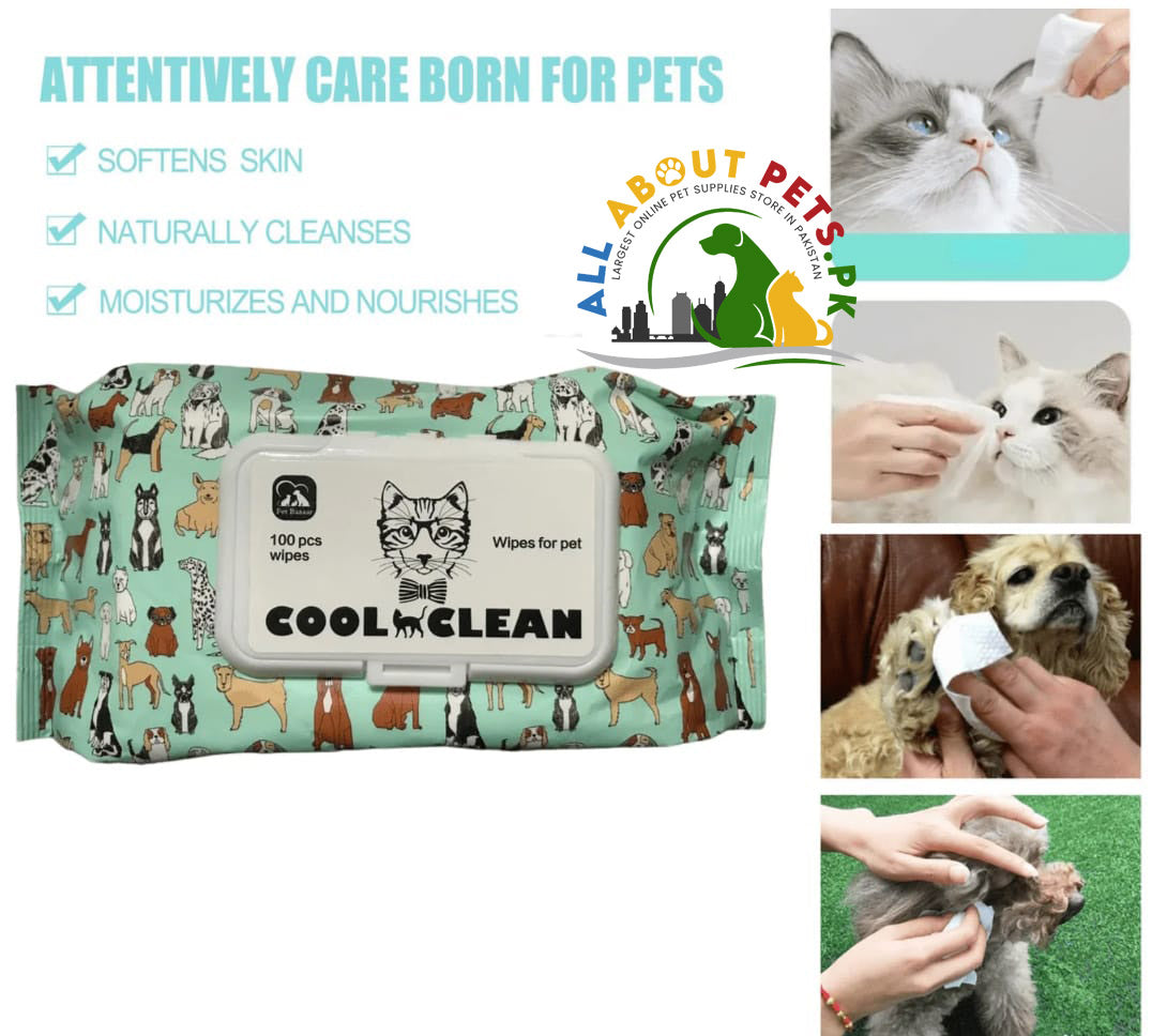 Cat Dog Cleaning Wipes – safe and gentle grooming wipes for cats and dogs in Pakistan for dirt and odor removal