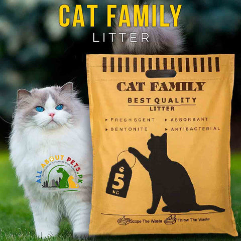 Image of Cat Family Litter Best Quality 5kg – bentonite odor-eliminating cat litter for hygiene and freshness