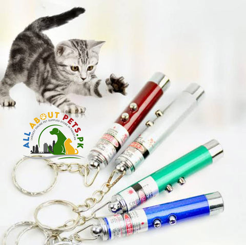 Image of Dangling Cat Laser Toy – interactive hanging laser toy for cats in Pakistan to keep them active, playful, and healthy