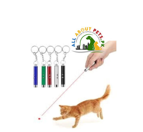 Image of Dangling Cat Laser Toy – interactive hanging laser toy for cats in Pakistan to keep them active, playful, and healthy