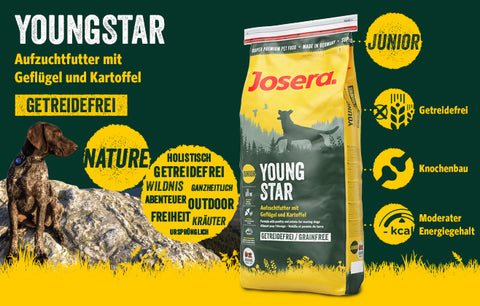 Image of Josera Adult Dog YoungStar Food – grain-free kibble for growth and adult maintenance