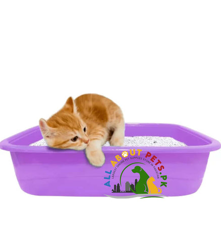 Image of Kitten Starter Pack – small size kitten essentials kit with food, litter tray, scoop, and toys in Pakistan
