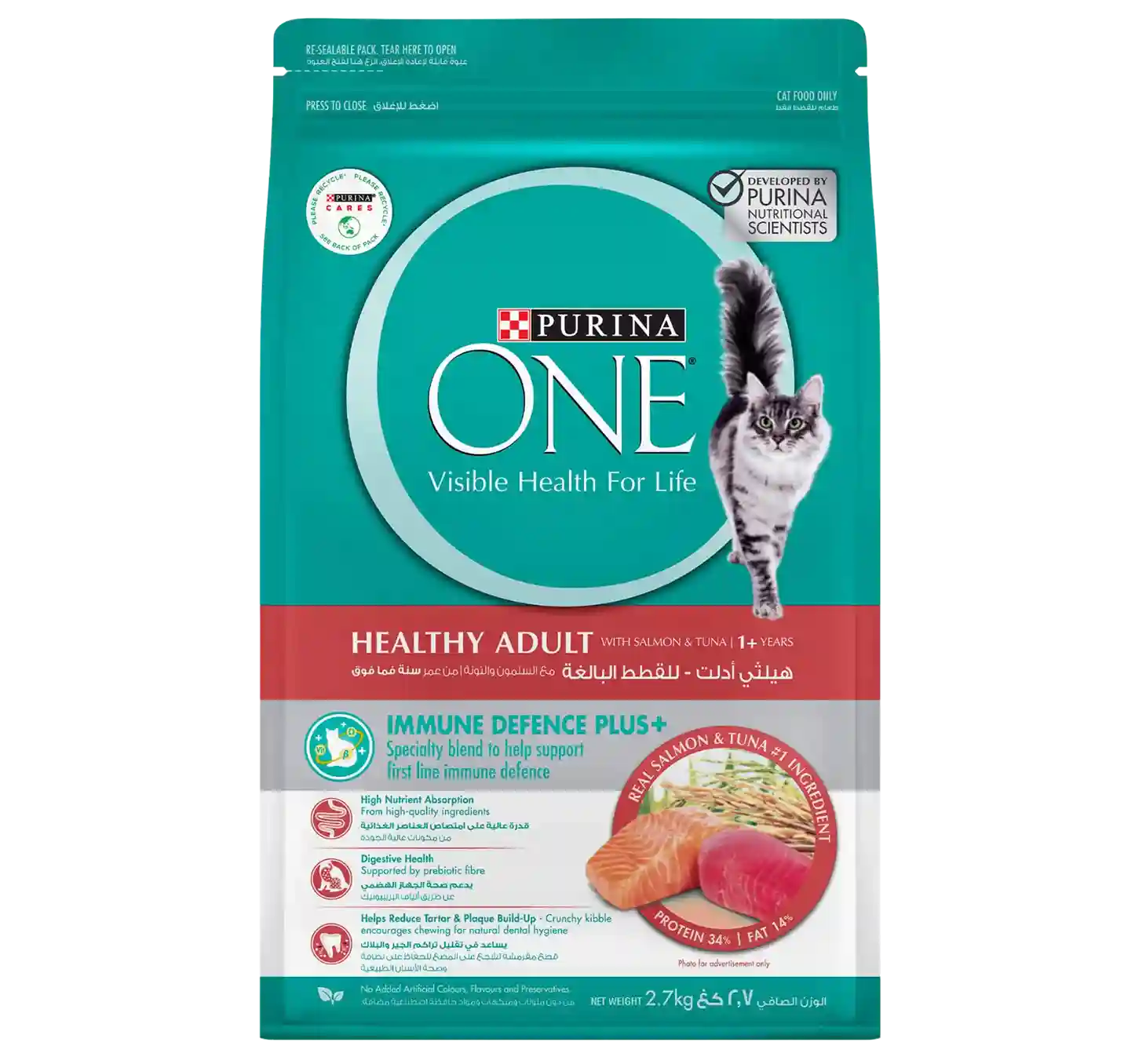 PURINA ONE HEALTY ADULT SALMON ADN TUNA
