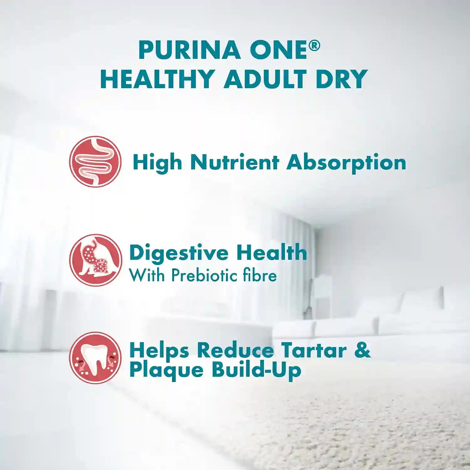 Purina ONE Healthy Adult Immune Defence Plus+ – Salmon & Tuna | High Protein Cat Food
