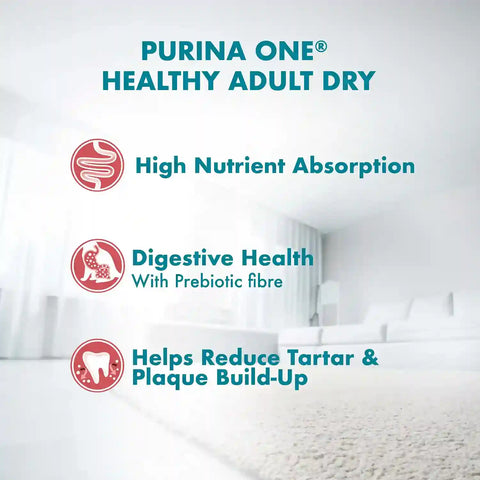 Image of Purina ONE Healthy Adult Immune Defence Plus+ – Salmon & Tuna | High Protein Cat Food