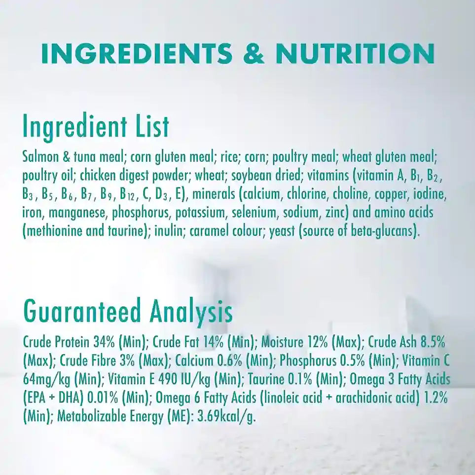 Purina ONE Healthy Adult Immune Defence Plus+ – Salmon & Tuna | High Protein Cat Food