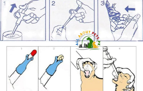 Image of Pet Pill Dispenser – safe and easy tool for administering medicine and liquid diets to cats and dogs in Pakistan