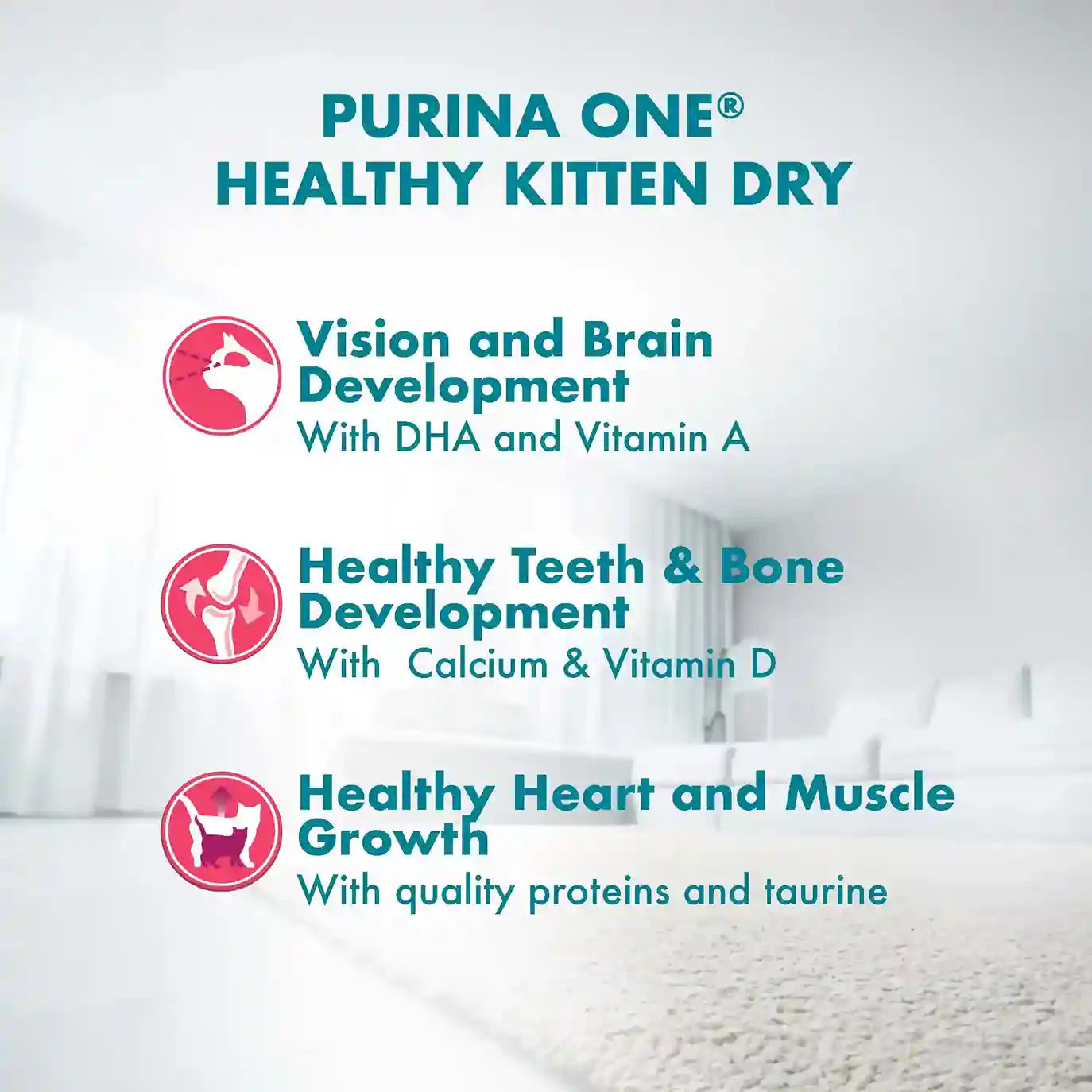Purina ONE Healthy Kitten Immune Defency PLUS+