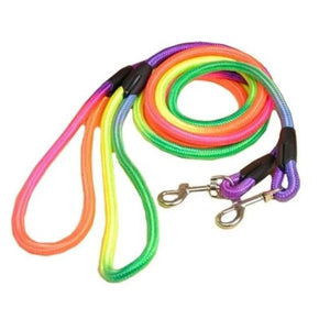 Rainbow nylon Dog Leash, 14mm thickness and 44 inches long available at allaboutpets.pk in pakistan