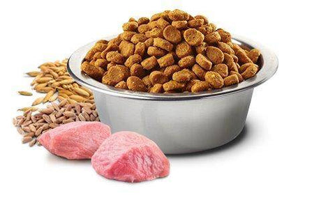 Image of Farmina N&D Grain Free Feline Chicken & Pomegranate Adult 1.5kg and 5kg available at allaboutpets.pk in pakistan.