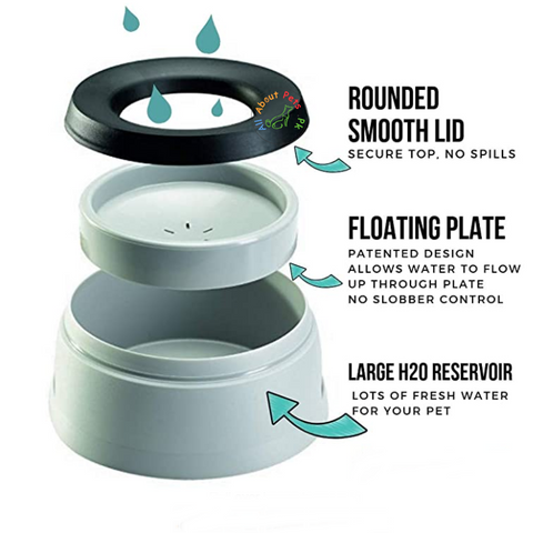 Image of Pet Water Bowl No Slobber No Spill - AllAboutPetsPk
