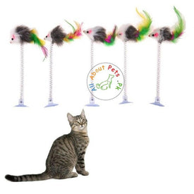 Interactive Mouse Spring teaser Toy for cats, available at allaboutpets.pk in Pakistan