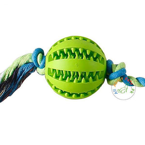 green Rubber Treat Ball with Rope for dogs available at allaboutpets.pk in Pakistan