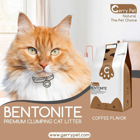 Image of Gerry Pet Bentonite Cat litter Coffee scent available online at allaboutpets.pk in Pakistan