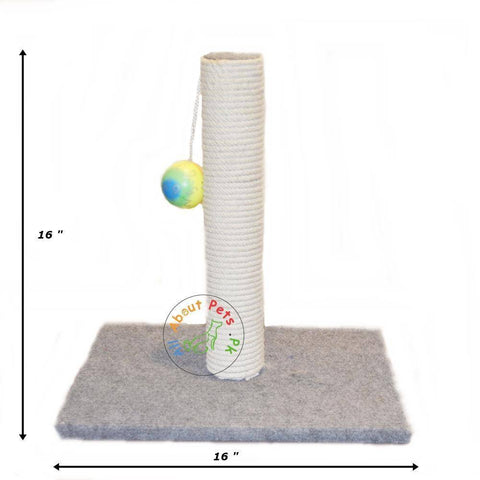 Image of Cat Scratch Post With Ball available in pakistan at allaboutpets.pk