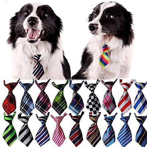 Image of Pet Bow Tie Collar, Pet Neckties available at allaboutpets.pk in pakistan