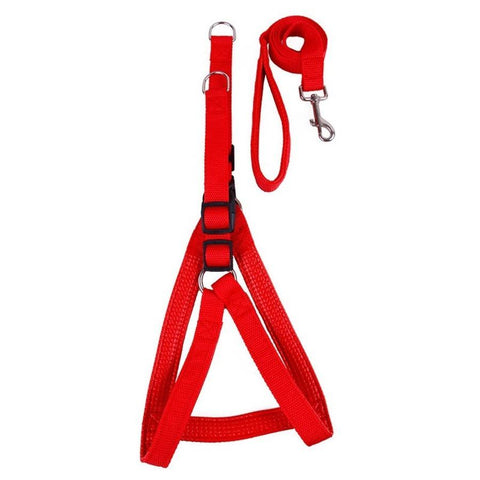 Image of nylon padded Dog Harness Vest Strap With Leash in red color available online in pakistan at allaboutpets.pk