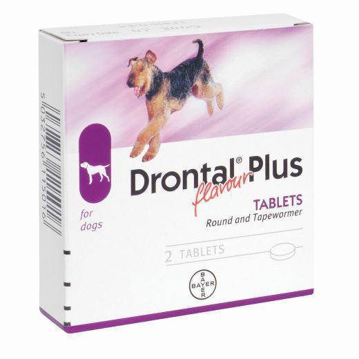 Drontal price sales