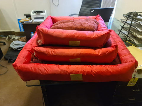 Image of Rectangle Bed For Cats and Dogs Soft Plush Material - AllAboutPetsPk