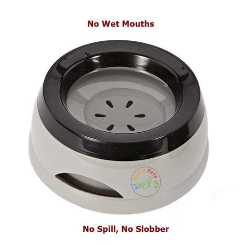 Image of Pet Water Bowl No Slobber No Spill for cats and dogs available at allaboutpets.pk in Pakistan