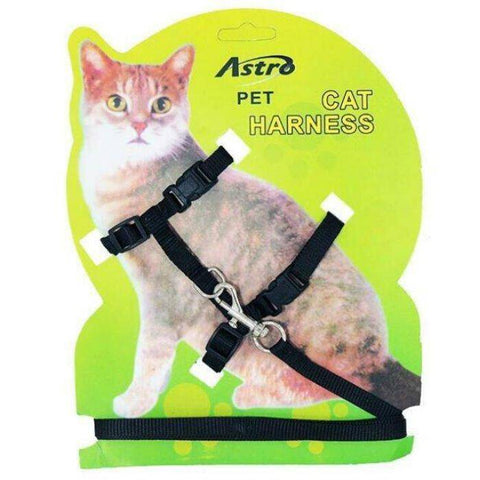 Image of Black Adjustable Nylon Pet Cat Harness and Leash available at allaboutpets.pk in pakistan.