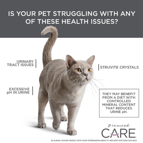 Image of DIAMOND Care Urinary Support Formula For Adult Cats for urinary track issue and excessive ph in cat urine