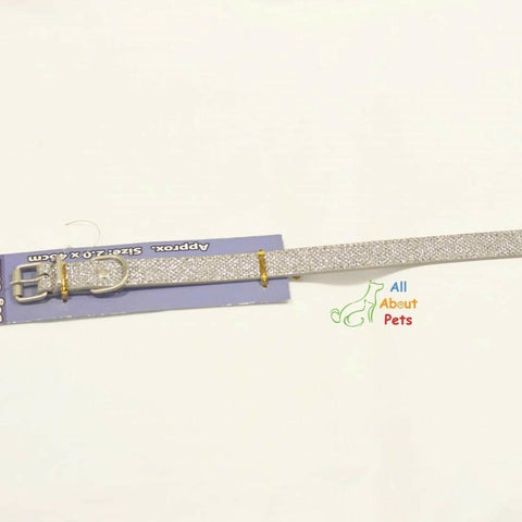 Image of Disco Glitter Dog Collar, silver dog collar available at allaboutpets.pk in pakistan.