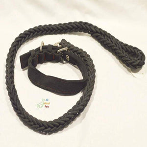 Nylon Dog Collar And Leash Set for dogs black color available at allaboutpets.pk in pakistan.