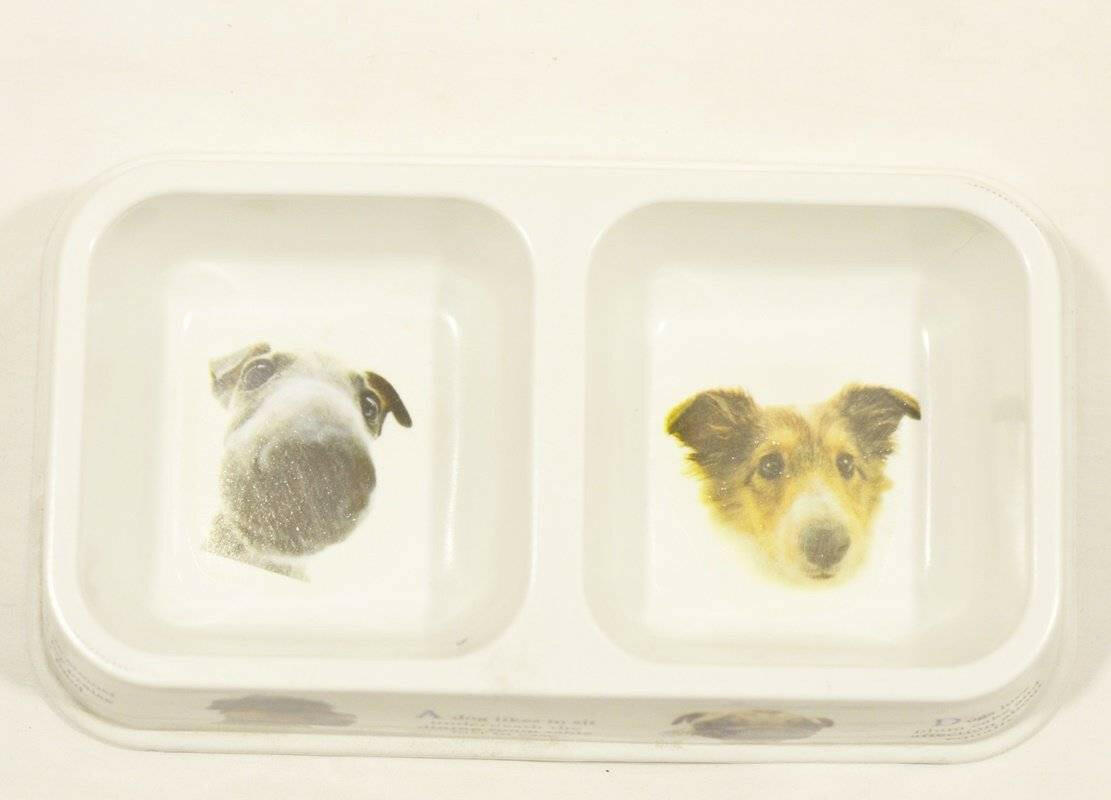 Dual Feeding Bowl for Dogs & Cats - Plastic pet feeding bowl available at allaboutpets.pk in pakistan.