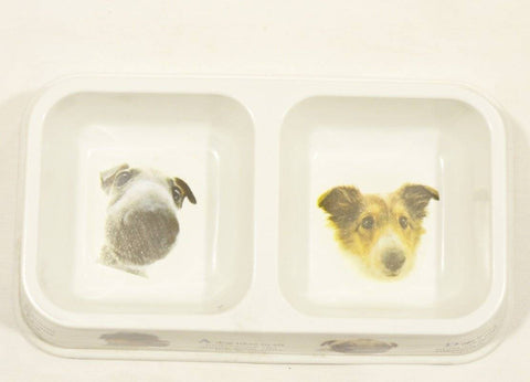 Image of Dual Feeding Bowl for Dogs & Cats - Plastic pet feeding bowl available at allaboutpets.pk in pakistan. 