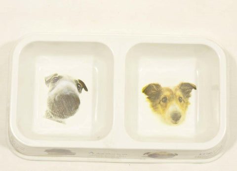 Image of Dual Feeding Bowl for Dogs & Cats - Plastic pet feeding bowl available at allaboutpets.pk in pakistan.