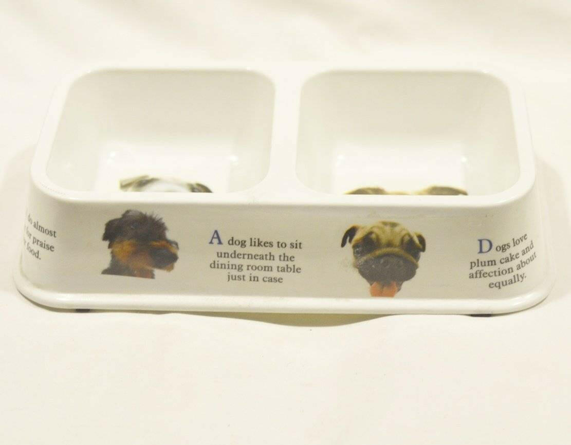 Dual Feeding Bowl for Dogs & Cats - Plastic pet feeding bowl available at allaboutpets.pk in pakistan.