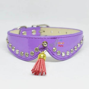Stylish Pets collars with studded crystals and tassels purple color, available at allaboutpets.pk in pakistan