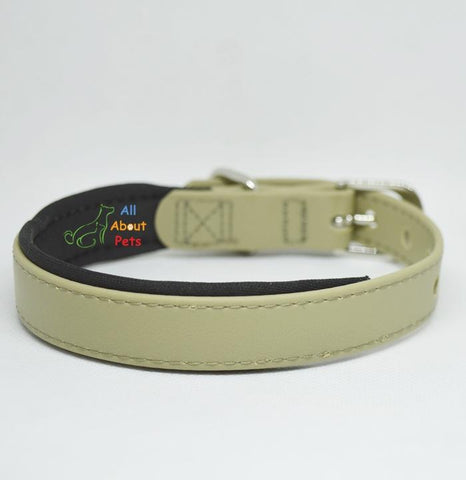 Image of Strong PU Collar in fluorescent beige color with soft padding  2cm x 40cm available at allaboutpets.pk in pakistan