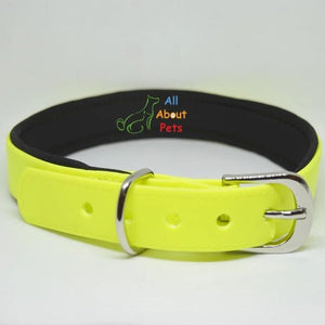 Dog collar fluorescent yellow color with soft padding  available at allaboutpets.pk in pakistan