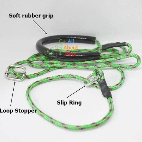 Image of Labrador Slip Leash green color 3mm with grip - 58", grip handle, pug show leash, shihtzu show leash, small dog show leash available at allaboutpets.pk in pakistan.