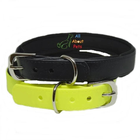 Image of Strong PU Dog Collar in fluorescent yellow color and black color with soft padding  available online at allaboutpets.pk in pakistan