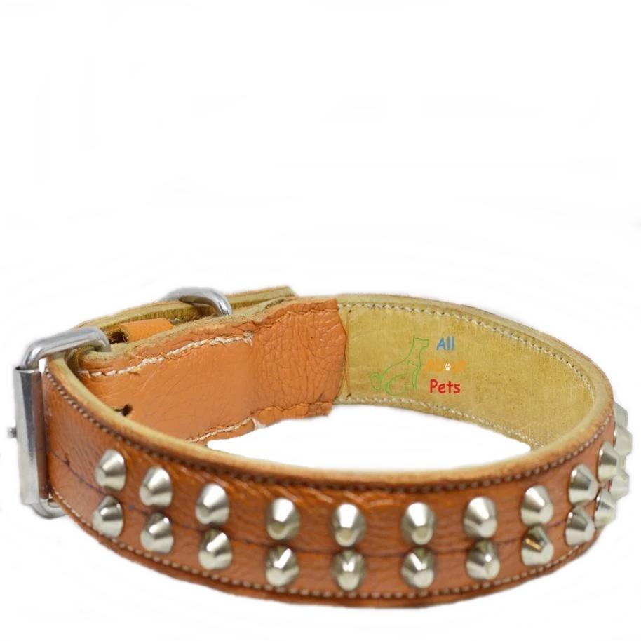 Gold leather cheap dog collar