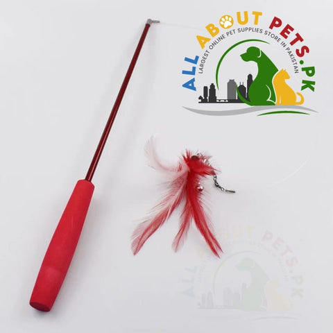 Image of Fishing Rod & Reel Kitty Teaser Cat Toy – interactive teaser toy for cats in Pakistan