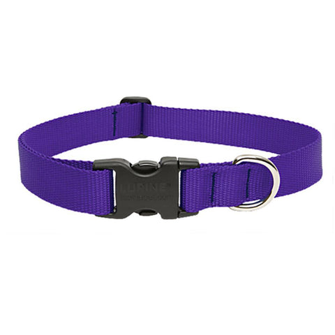 Image of Blue dog Collar nylon adjustable. Fully adjustable, with a welded steel D-ring and heavy duty side release clasp. Adjusts from 14-24 inches. 1.25 inch width. 100% heavy duty nylon collar available at allaboutpets.pk in pakistan.