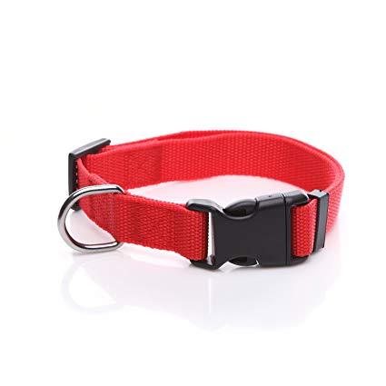 Image of Red dog Collar nylon adjustable. Fully adjustable, with a welded steel D-ring and heavy duty side release clasp. Adjusts from 14-24 inches. 1.25 inch width. 100% heavy duty nylon collar available at allaboutpets.pk  in pakistan.