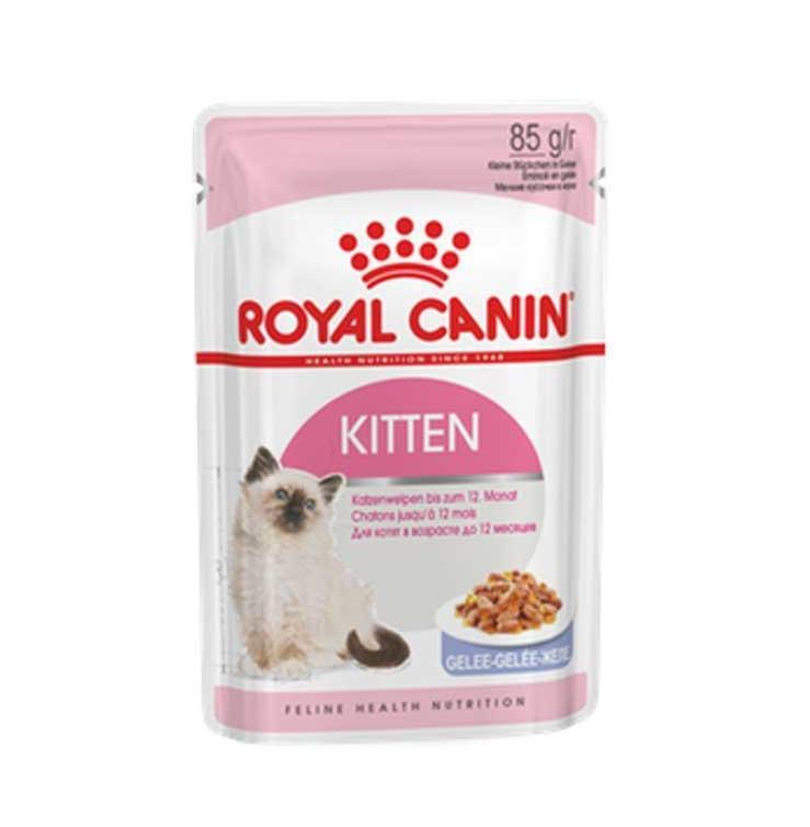 royal canin cat jelly -kitten 85g available online in pakistan at allaboutpets.pk