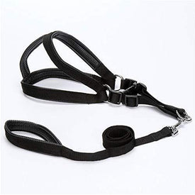 nylon padded Dog Harness Vest Strap With Leash in black, blue, red and army green colors available online in pakistan at allaboutpets.pk