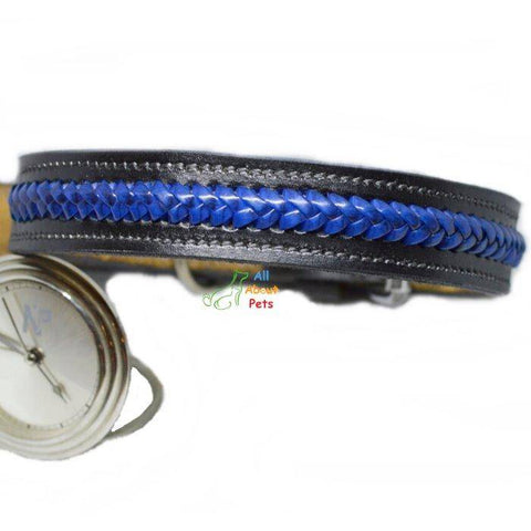 Image of Color Braided Genuine Leather Collar Black, blue and black dog collar, stylish dog collar, designer dog collar available at allaboutpets.pk in pakistan.